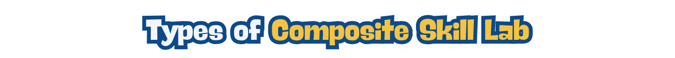 Types of Composite Skill Lab