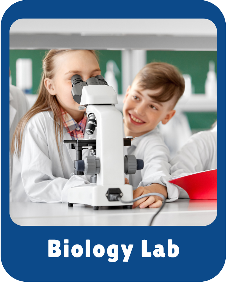 Lab Activity 3