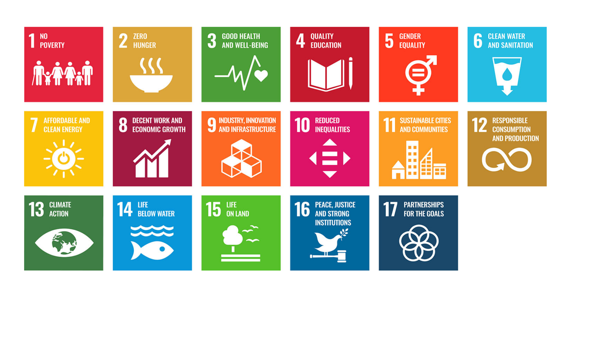SDG Grid