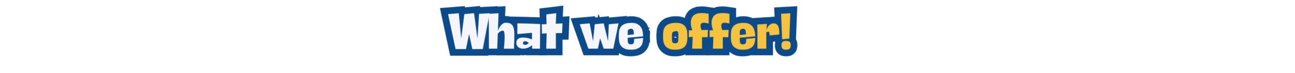 What We Offer