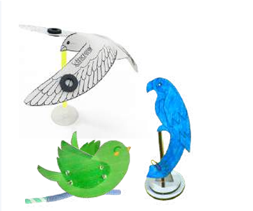 Bird Science 1